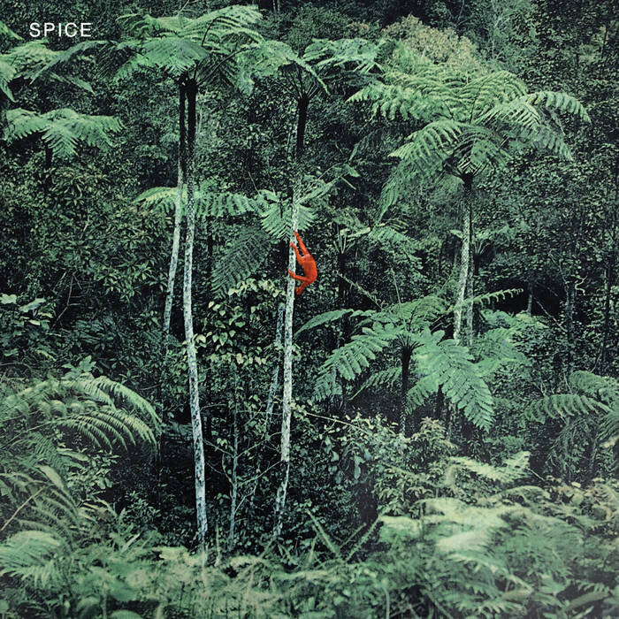 SPICE: SPICE, recorded at The Panda Studios