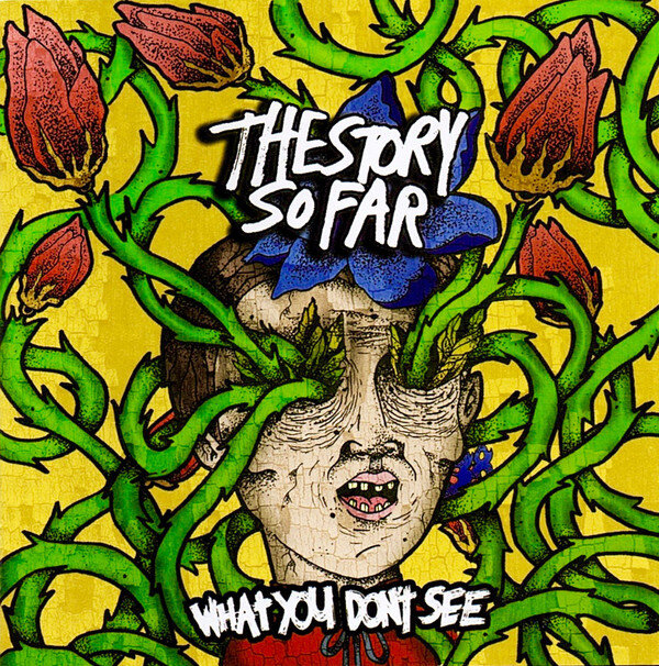 The Story So Far, What You Don't See album artwork