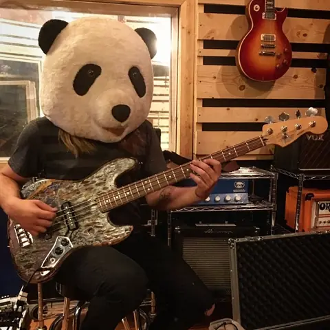 A bassist playing in the panda head, 2016