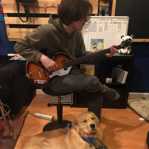 A bassist tracking with the studio dog lying at his feet, 2019